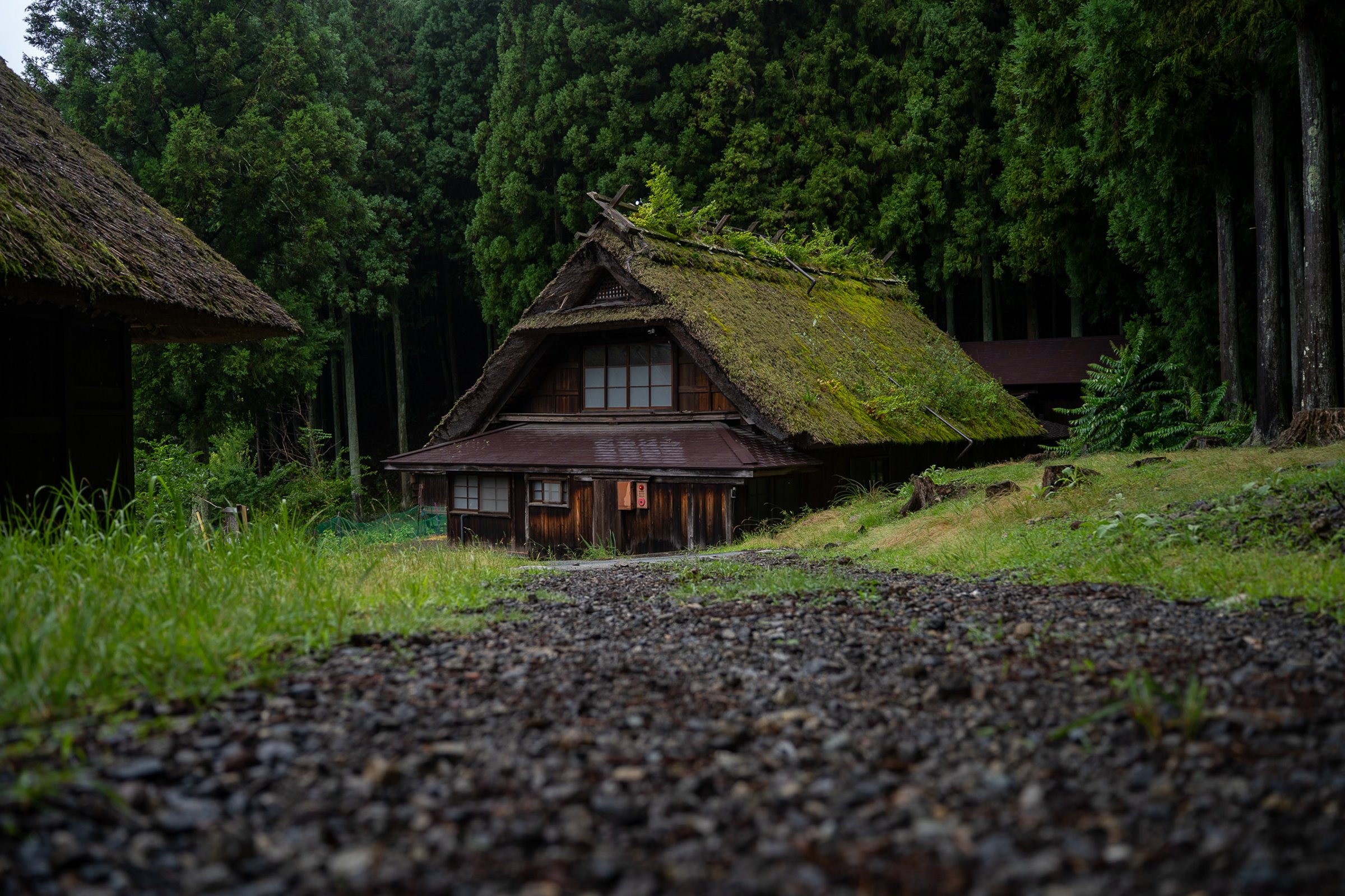 Moss-covered traditional Japanese farmhouse in forest